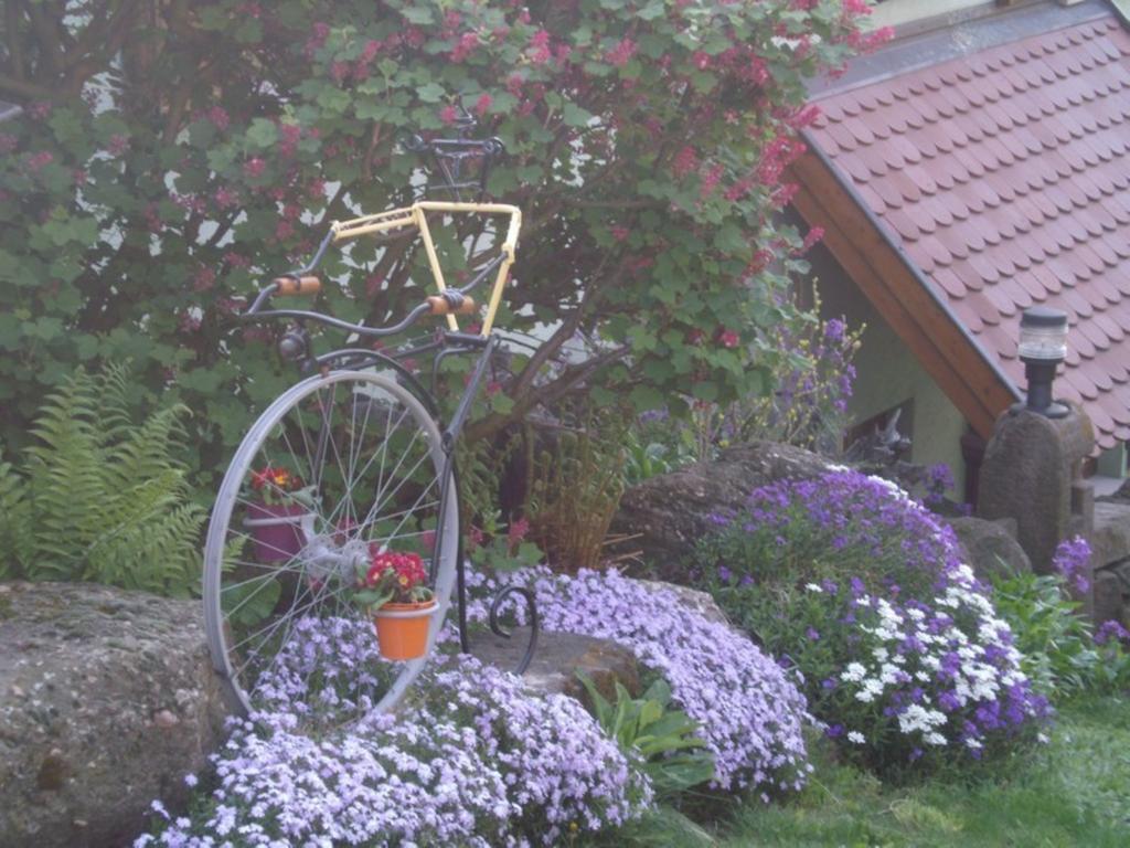 Ferienwohnung Au Bon Logis Thannenkirch Zimmer foto
